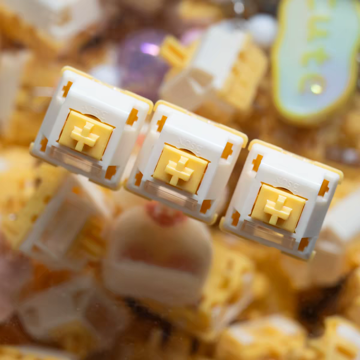 Milk Dragon V2 QVQ N2 Switch 5 - Gaming Keyboard Thocky review and price
