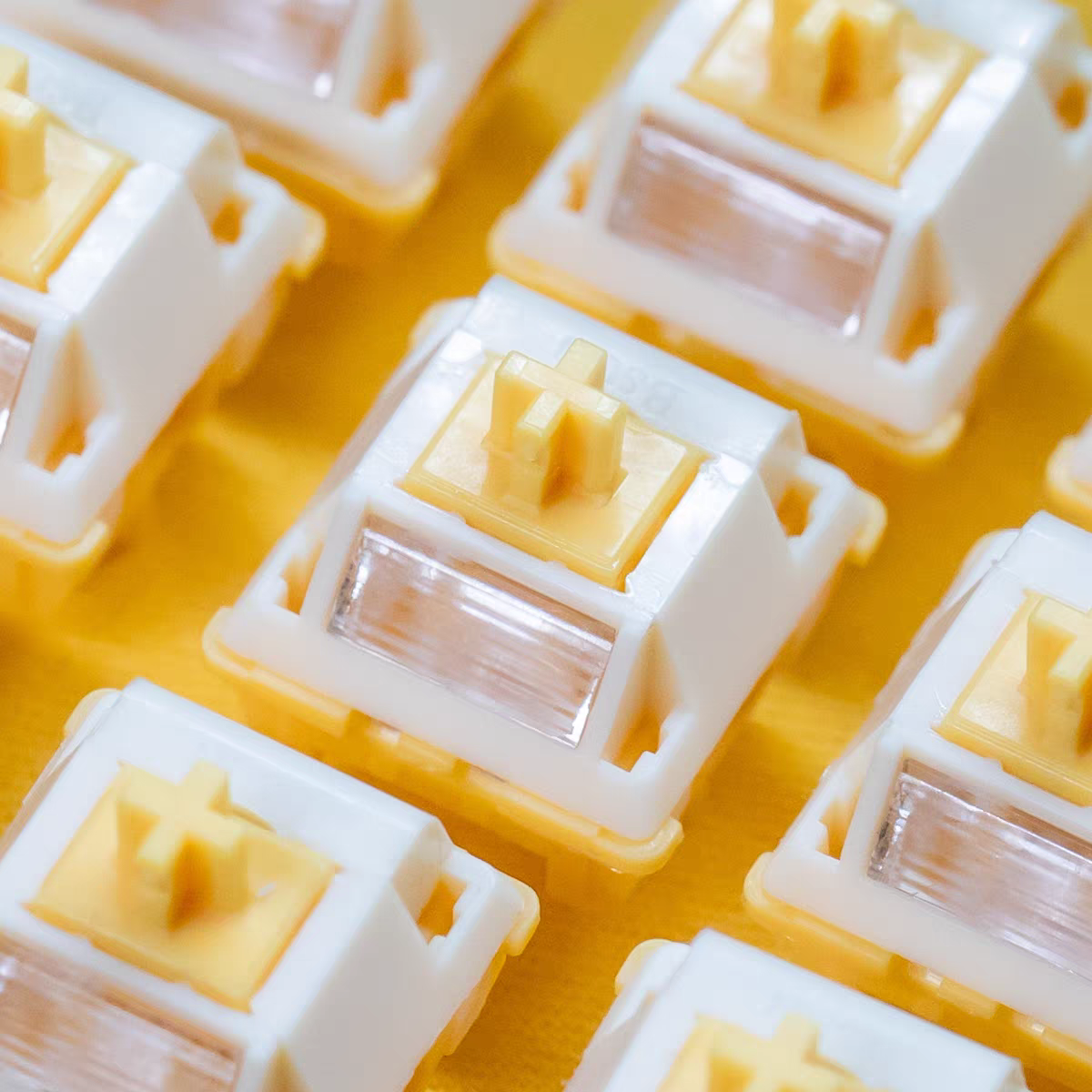 Milk Dragon V2 QVQ N2 Switch 5 - Gaming Keyboard Thocky review and price