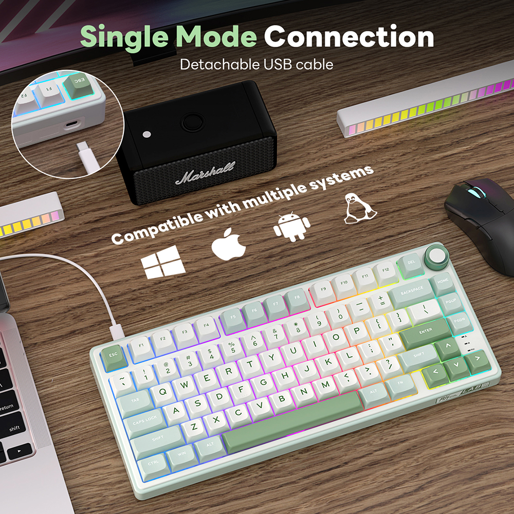 RK Royal Kludge R75 Gasket Wir - Gaming Keyboard Brand review and price