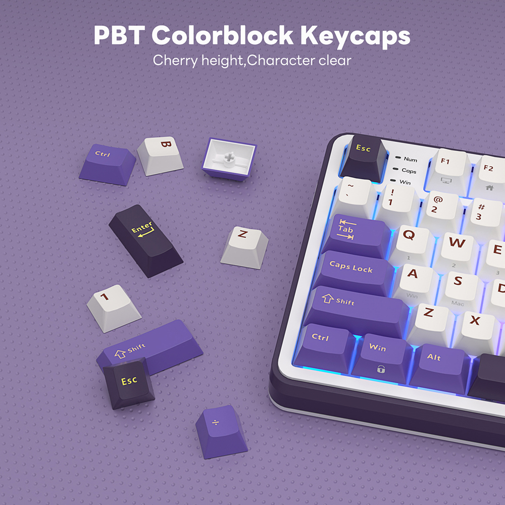 RK S98 ROYAL KLUDGE Wireless G - Gaming Keyboard Thocky review and price